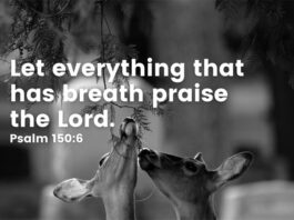 Let everything that has breath praise the Lord