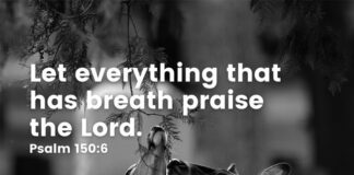 Praise the Lord Bible verse Meaning, Purpose, and Power Let everything that has breath praise the Lord