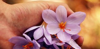 Prayer for peace in the family – Christian Source of Love, Harmony Prayer for peace in the family love harmony unity