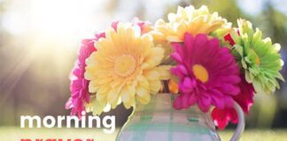 5 Short Good Morning Prayers – Tips for Structure, Time, Duration Short Good Morning Prayers example