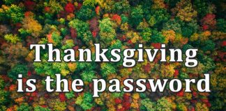 Thanksgiving Prayer for Everyday – Gratitude and Grace THANKSGIVING PRAYER FOR EVERYDAY Gratitude and Grace