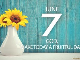 Be fruitful and multiply verse