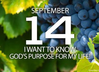 GOD’S PURPOSE FOR MY LIFE Prayer for September 14 God's purpose for my life