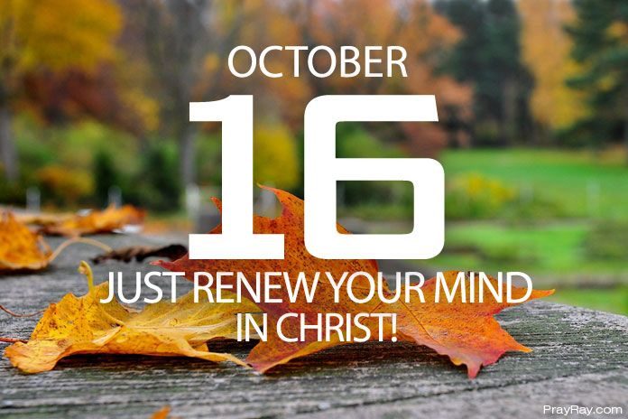 renew your mind in Christ