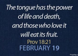 BY YOUR WORDS YOU WILL BE JUSTIFIED Prayer for February 19 by your words you will be justified
