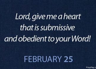 BEING MEEK Prayer for February 25 being meek