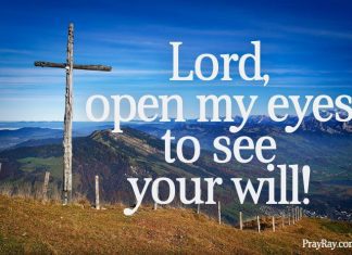 UNDERSTANDING THE WILL OF GOD Lent #day 13 understanding the will of God