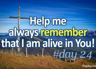 WE ARE ALIVE IN CHRIST Lent Devotional #day 24 we are alive in Christ