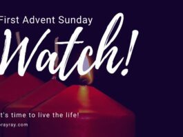 first Sunday of Advent devotional
