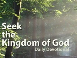 Seek the Kingdom of God Devotional
