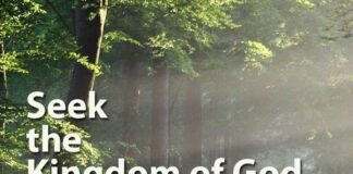 Seek the Kingdom of God – Devotional for Today, January 14 Seek the Kingdom of God Devotional