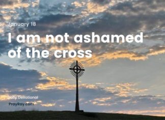 The Cross Provokes – Devotional for Today, January 18 The Cross Provokes Devotional