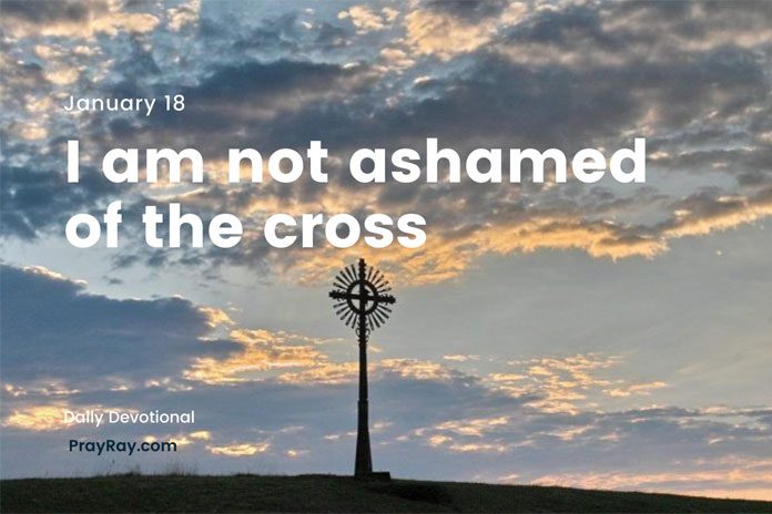 The Cross Provokes Devotional
