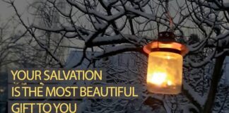 Salvation History Begins – Devotion for Today January 3 Salvation History Begins Devotion