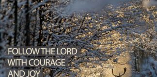 You Can Trust the Lord. Devotional for Today January 5 You Can Trust the Lord. Devotional for Today