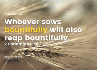 I want to participate in the Lord’s Harvest. Devotional February 14 Lord's Harvest