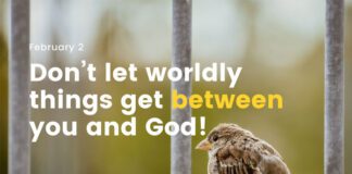 Do not Be Deceived – Devotional for Today, February 2 Do not be Deceived Devotional