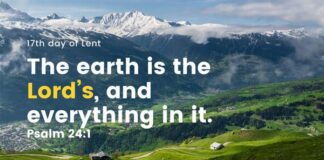 You are the Steward of God’s Vineyard. Daily Devotional 17th day of Lent the Steward of God's Vineyard Daily Devotional