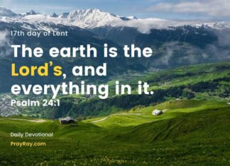 You are the Steward of God’s Vineyard. Daily Devotional 17th day of Lent the Steward of God's Vineyard Daily Devotional