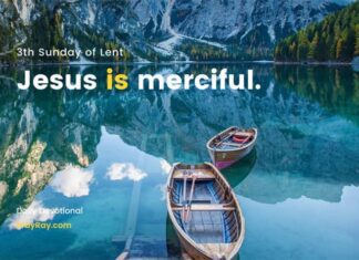 Why doesn’t a fig tree bear fruit? Devotional for the Third Sunday of Lent. fig tree bear fruit Third Sunday of Lent
