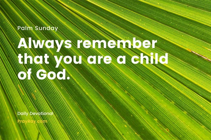 know Who You Are Palm Sunday Devotional