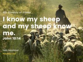 Jesus is the Good Shepherd Daily Devotional 4th Sunday of Easter