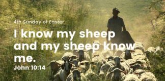 Jesus is the Good Shepherd. Daily Devotional 4th Sunday of Easter Jesus is the Good Shepherd Daily Devotional 4th Sunday of Easter