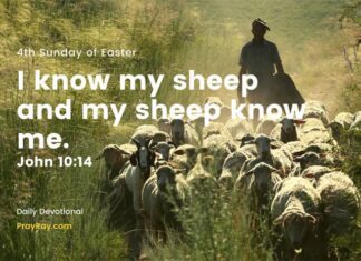 Jesus is the Good Shepherd. Daily Devotional 4th Sunday of Easter Jesus is the Good Shepherd Daily Devotional 4th Sunday of Easter
