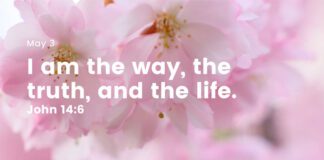 Jesus Is the Criterion – Daily Devotional for May 3 Jesus is the Criterion Daily devotional for 3 May