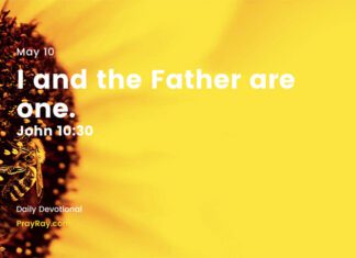 Listen to the Voice of the Shepherd. Daily Devotional for May 10 Listen to the Voice of the Shepherd Daily Devotional for May 10