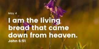 Jesus is the Bread of Life. Daily devotional for May 4 Jesus is the Bread of Life Daily devotional for May 4