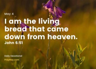 Jesus is the Bread of Life. Daily devotional for May 4 Jesus is the Bread of Life Daily devotional for May 4