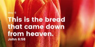 Do you also want to live forever? Daily Devotional for May 6 Do you also want to live forever Daily Devotional for May 6