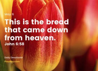 Do you also want to live forever? Daily Devotional for May 6 Do you also want to live forever Daily Devotional for May 6