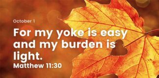 Don’t be afraid of change. Devotional for Today, October 1 Don't be afraid of change Devotional for Today
