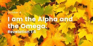 Use the Means God has Given You. Devotional for October 4 Use the means God has given you Devotional for Today October 4