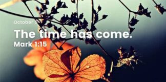 Now is the Time for Conversion. Devotional for Today, October 5 Now is the Time for Conversion Devotional for Today October 5