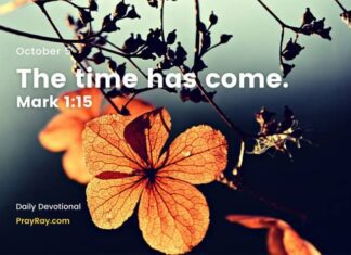 Now is the Time for Conversion. Devotional for Today, October 5 Now is the Time for Conversion Devotional for Today October 5