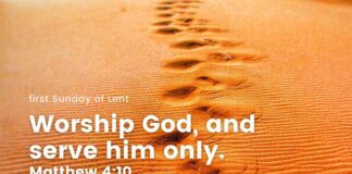 Identity in Christ – Devotional for the first Sunday of Lent Identity in Christ Devotional for the first Sunday of Lent