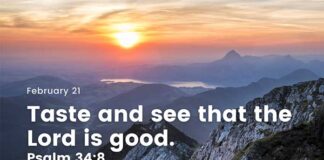 Comfort in God’s Unfailing Love – Devotional for Today, February 21 Comfort in God's unfailing love Devotional for Today February 21