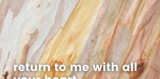 Can You Eat Meat on Ash Wednesday? – No! Can you eat meat on Ash Wednesday