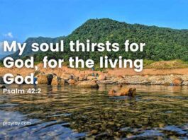 My soul thirsts for God Devotional for the third day of Lent