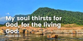My soul thirsts for God – Devotional for the third day of Lent My soul thirsts for God Devotional for the third day of Lent