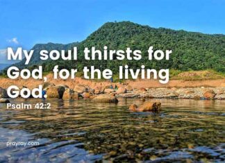 My soul thirsts for God – Devotional for the third day of Lent My soul thirsts for God Devotional for the third day of Lent