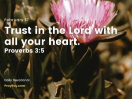 Give all your anxiety to God Devotional for Today February 17