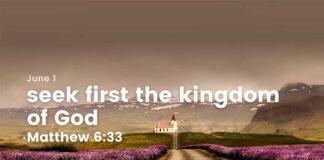 Swim Against the Tide – Daily Devotional for June 1 Swim Against the Tide Daily Devotional for June