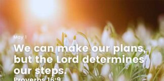 Daily Devotional for 1 May – Pray for Guidance and Wisdom Daily Devotional for 1 May Pray for guidance and wisdom in making important decisions
