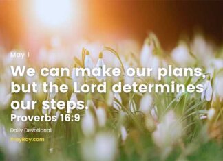 Daily Devotional for 1 May – Pray for Guidance and Wisdom Daily Devotional for 1 May Pray for guidance and wisdom in making important decisions