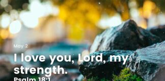 Daily Devotional for 2 May – Pray for strength and perseverance Daily Devotional for 2 May Pray for strength and perseverance