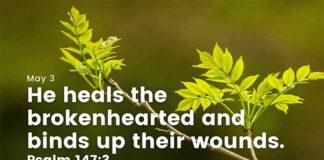 Daily Devotional for 3 May – Pray for good health Daily Devotional for 3 May Pray for good health